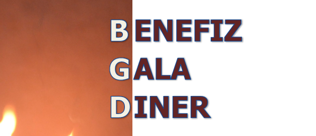 Benefiz Gala Dinner 2014