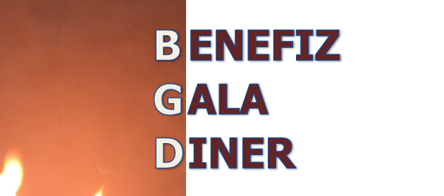 Benefiz Gala Dinner 2014