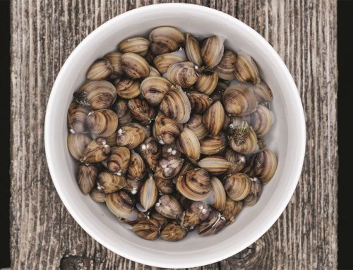 Süsswasserperlen – Beitrag in Salz & Pfeffer