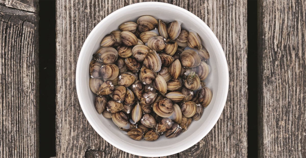 Frawi Frank Widmer - Süsswasserperlen - Beitrag in Salz & Pfeffer