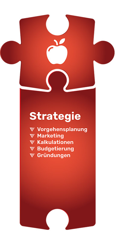 Frank Widmer Consulting - Frawi - Angebot Strategie
